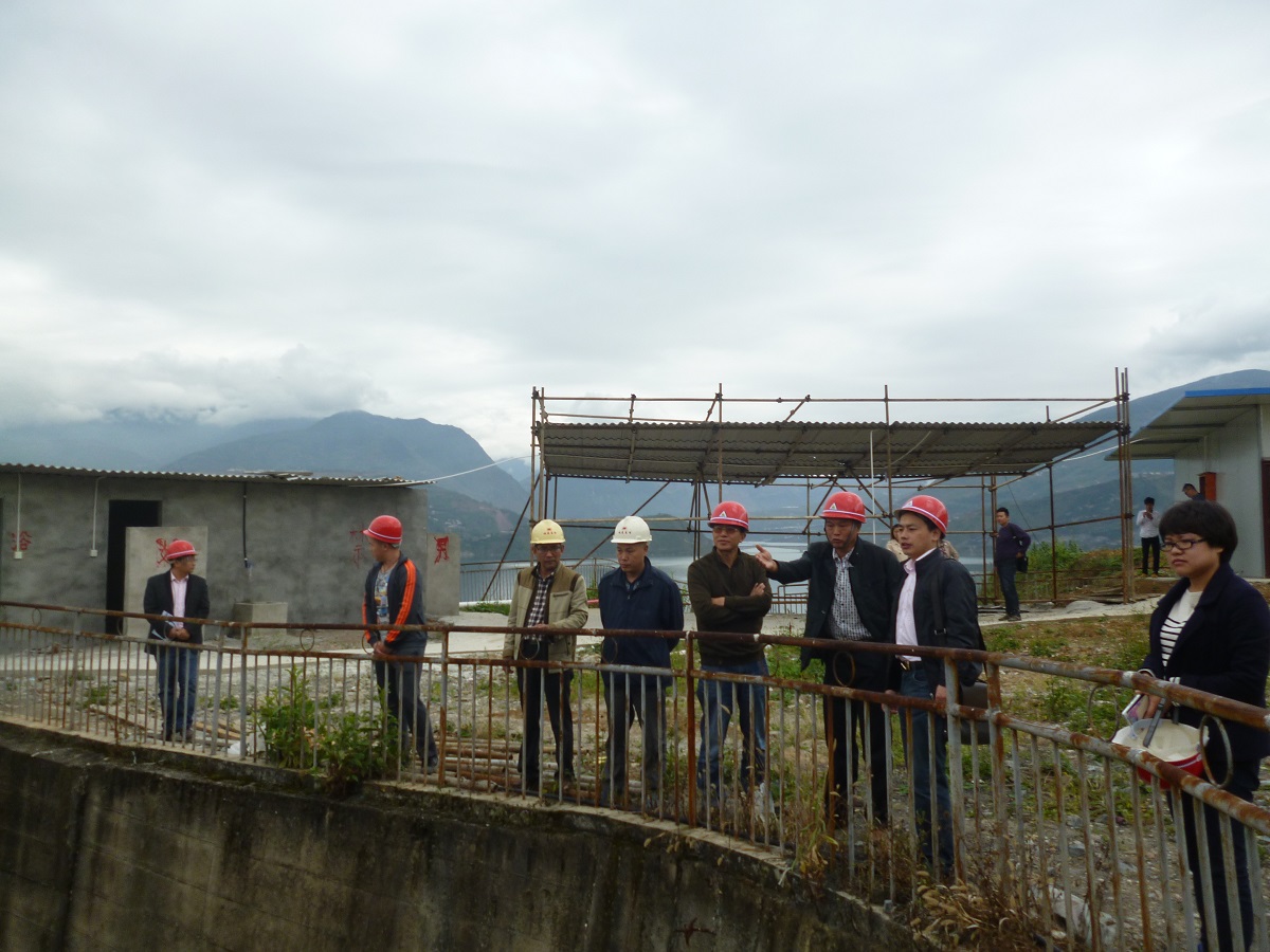 P1040654001.jpg P1040654001.jpg